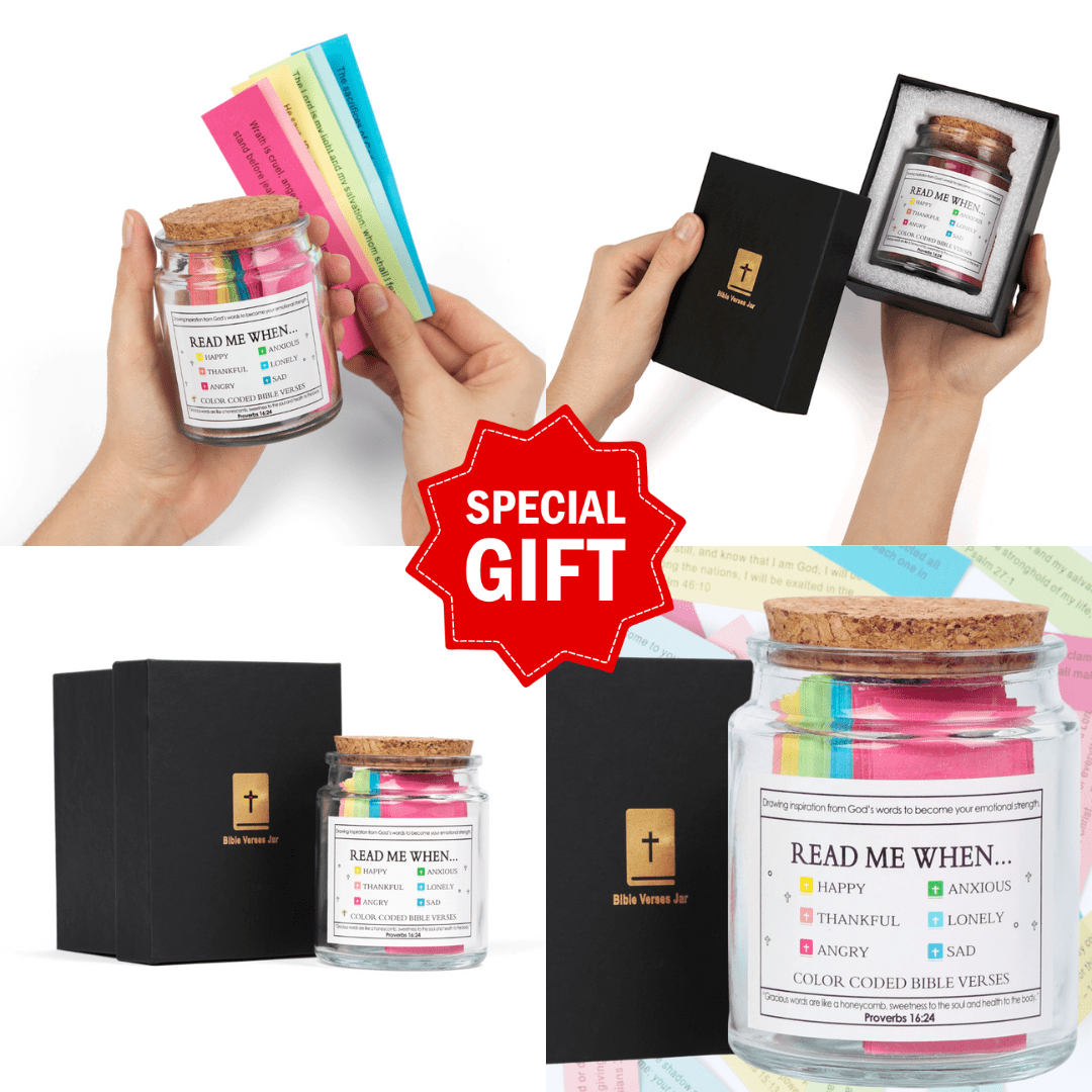 The Holy Bible Squishy Pillow (Huggable Size)