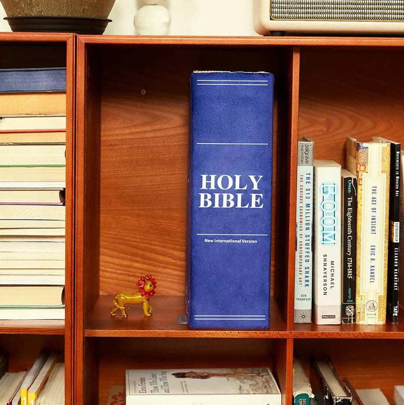 The Holy Bible Squishy Pillow (Huggable Size)